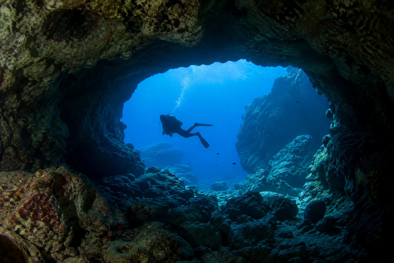 Malta i Gozo: nurkowanie